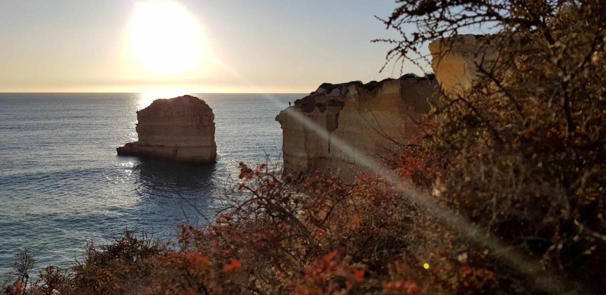 Albufeira Sea View Apartment Ngoại thất bức ảnh