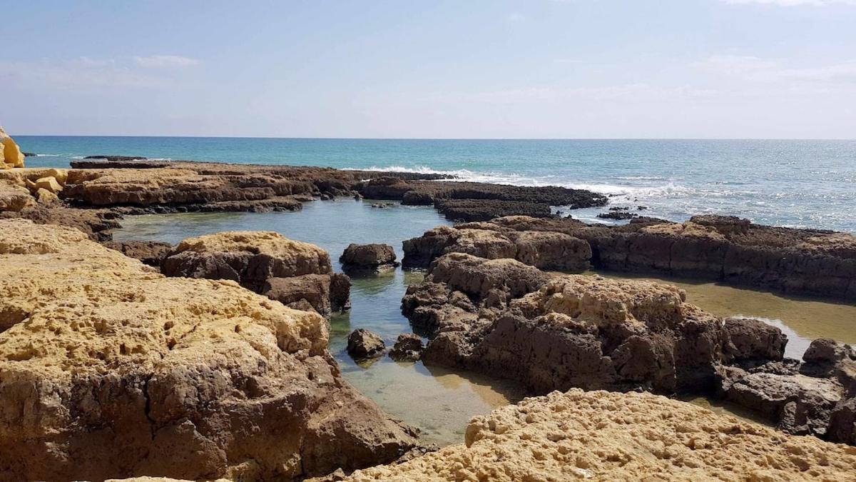Albufeira Sea View Apartment Ngoại thất bức ảnh