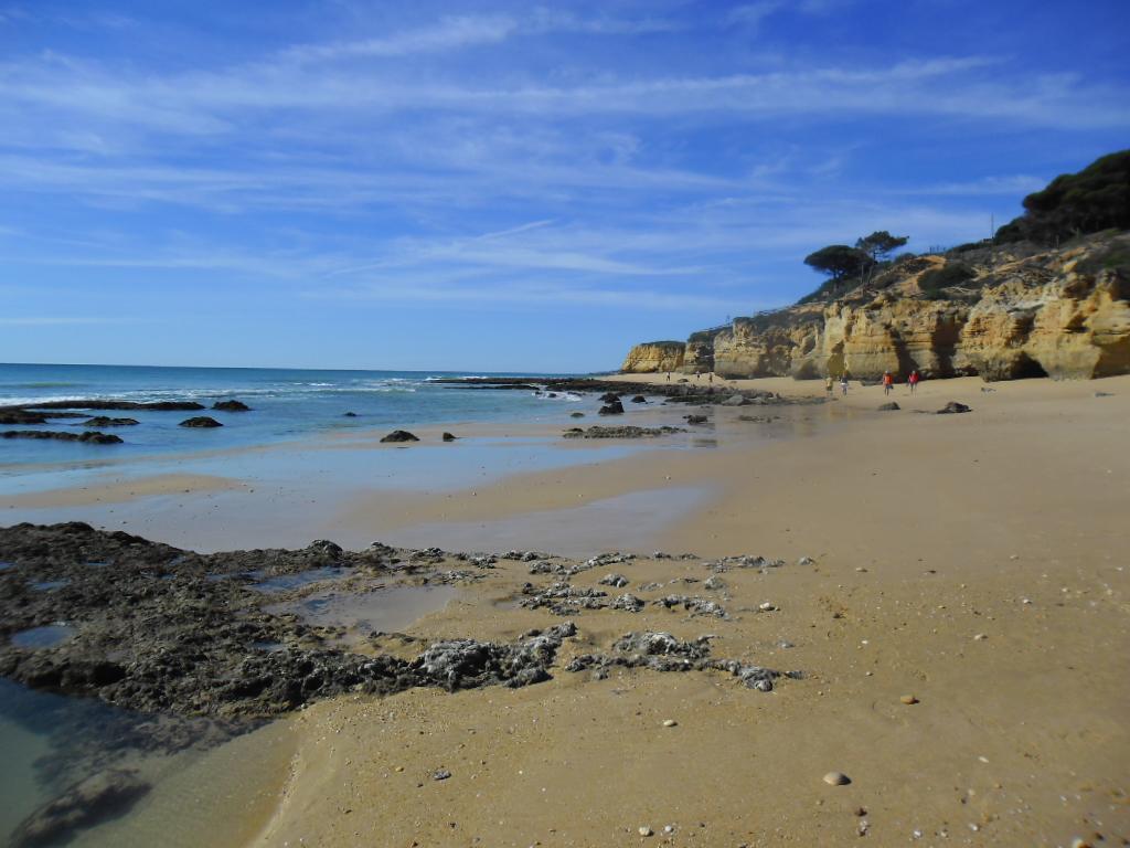 Albufeira Sea View Apartment Ngoại thất bức ảnh